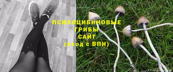 ALPHA PVP Нязепетровск