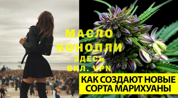 соль курить ск Новодвинск