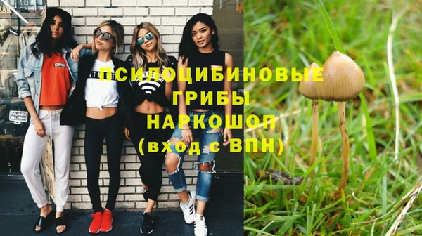 скорость Осинники