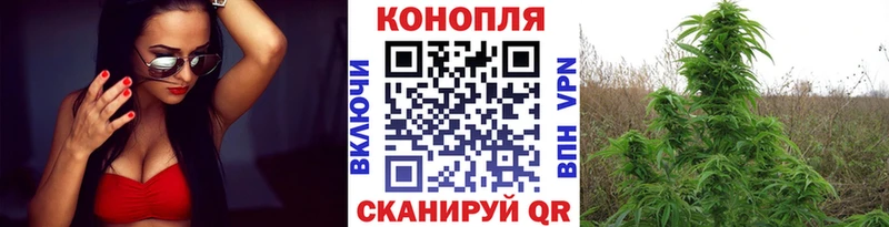 Каннабис Ganja  Ликино-Дулёво 
